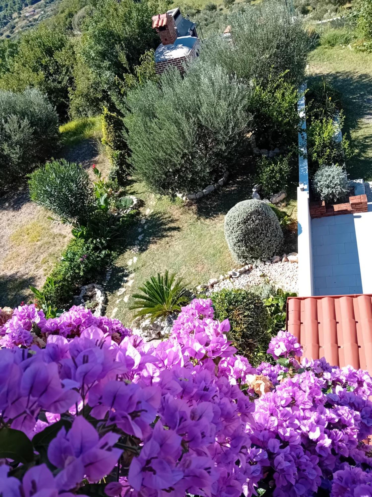 Apartments Panorama View Zeljko Scerbe Mundanije المظهر الخارجي الصورة